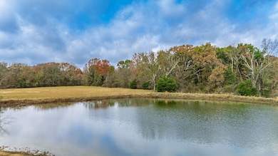 TBD Fm 154, Cooper, TX 75432 - photo 6