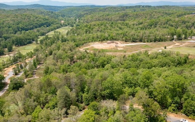 Additional View