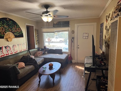 309 E Cedar St, Lafayette, LA 70501 - photo 5