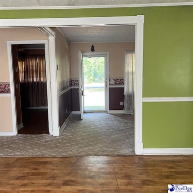806 E 3rd Ave, Lake View, SC 29563 - photo 4