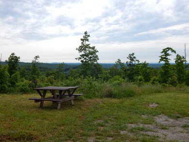 Picnic Table & View