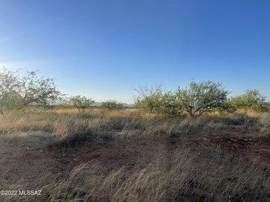 Desert Senna Trail