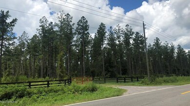LOT 2 Griffin Rd - Heartwood Farms, Callahan, FL 32011 - photo 5