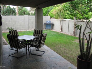 *back yard to the north