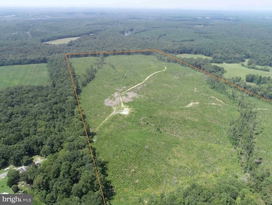 0 Bremo Road (Tract: Jr Barnes Dillion), Bremo Bluff, VA 23022 - photo 2