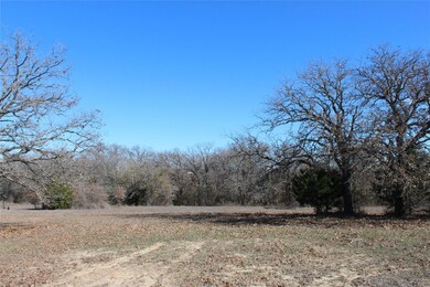 0000 Old Agnes Rd, Weatherford, TX 76088 - photo 5
