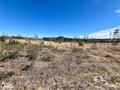 0 Bud Odom Rd unit 25514042, Deer Park, AL 36529 - photo 4