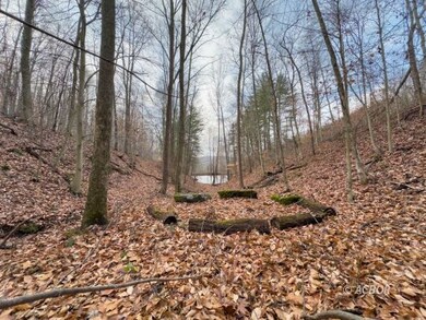 14418 State Route 93 S, Logan, OH 43138 - photo 4