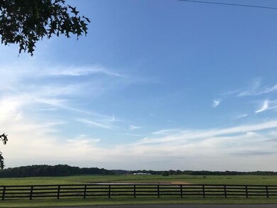 View from the front Yard