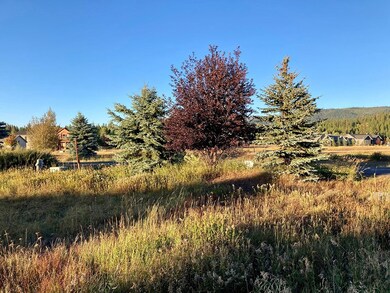 Mature Trees along Spring Mtn Blvd