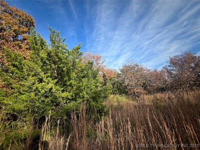 0030 Ruisdael Rd, Sand Springs, OK 74063 - photo 4