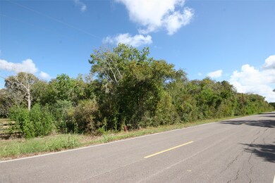 0 County Road 659 unit 75435448, Brazoria, TX 77541 - photo 3
