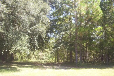 Lot 10-G Berry Dr unit 10-G, Broxton, GA 31519 - photo 2