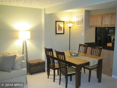 1537 Woodcrest Dr, Reston, VA 20194 - photo 5