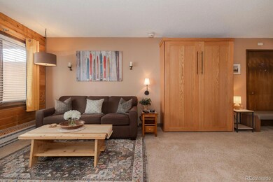 62927 US Highway 40 unit 112, Granby, CO 80446 - photo 6