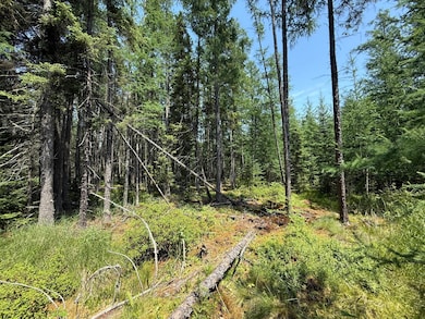 TBD Arkola Rd E, Kelsey, MN 55724 - photo 5