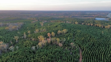 104 Gammage Rd, Pittsview, AL 36871 - photo 3