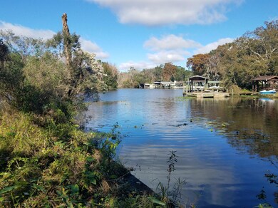 1666 Lake Shore Blvd, Jacksonville, FL 32210 - photo 5