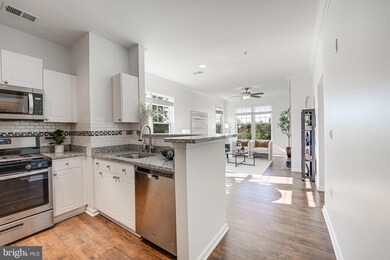 11350 Aristotle Dr unit 7-302, Fairfax, VA 22030 - photo 6