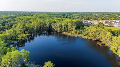 16213 Dew Drop Ln, Tampa, FL 33625 - photo 6