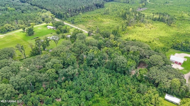 532 Ratliff Ferry Rd, Canton, MS 39046 - photo 5