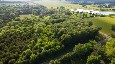 DJI_0977
