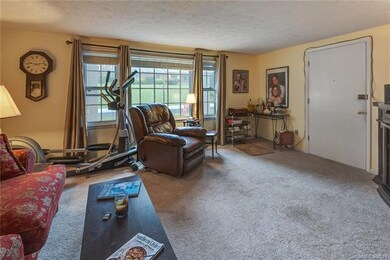 55 Brookside Dr unit 31, Hendersonville, NC 28792 - photo 2