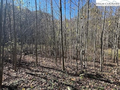 TBD River Front Dr, Jefferson, NC 28604 - photo 5