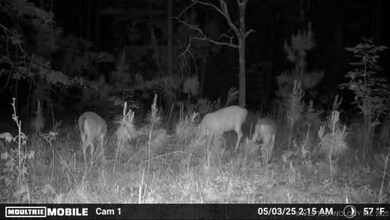 1 SE Hulsey Prairie, Panola, OK 74578 - photo 7