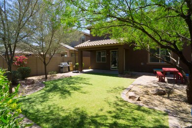 Beautiful Park-Like Backyard