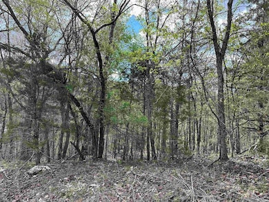 0 Off Dovewood Ln unit 22007754, Flippin, AR 72634 - photo 4