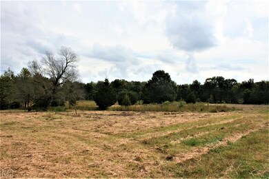 14 + - Acres Cr 766, Jonesboro, AR 72405 - photo 2