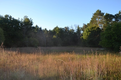 38 S Eugene Dr, South Branch Township, MI 48653 - photo 6