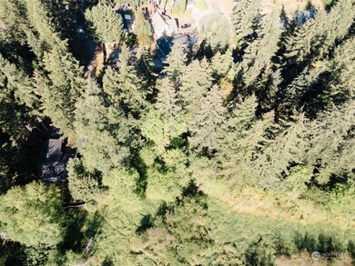 17708 Vine Ln SE, Yelm, WA 98597 - photo 4