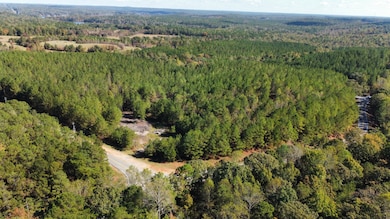 0 Turner Rd, Dadeville, AL 36853 - photo 2