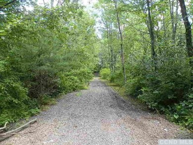 0 9w Route unit 110531, Athens, NY 12015 - photo 6