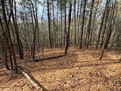 TBD Caution Tape Rd, Cana, VA 24317 - photo 3