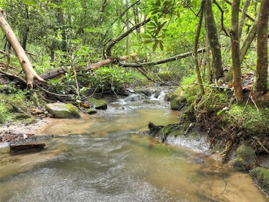 LOT 44 Synacia Dr, Mineral Bluff, GA 30559 - photo 2