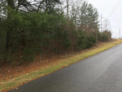 00 Dogwood Hills Rd, Fall Branch, TN 37656 - photo 2