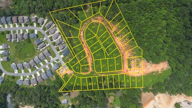 DJI_0822a