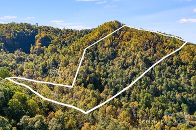 000 Hamburg Rd unit 17, Mars Hill, NC 28754 - photo 2