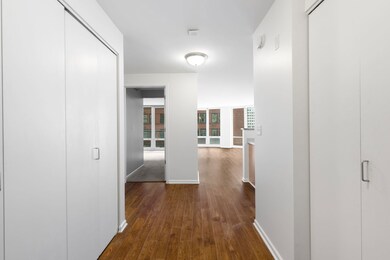 345 N Lasalle St unit 407, Chicago, IL 60654 - photo 4
