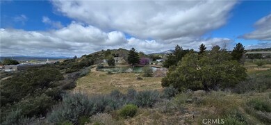 56695 Cain Rd, Anza, CA 92539 - photo 3