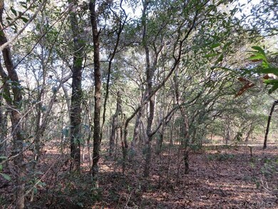 Lot Interior