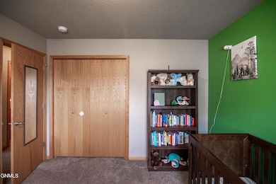 4624 37th Ave NW, Mandan, ND 58554 - photo 6