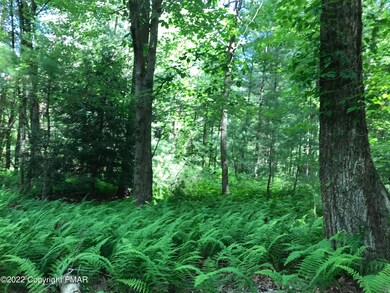 0 T 352 & Quinton Dr unit PM-98914, Kunkletown, PA 18058 - photo 2