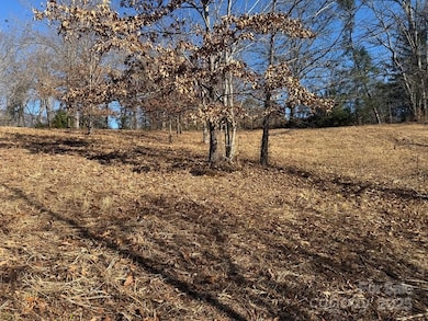 LT 15 Sunshine Acres None, Sylva, NC 28779 - photo 3