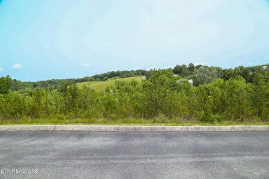 0 Blue Herring Way unit RTC3052483, Sevierville, TN 37876 - photo 2