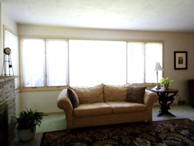 Living Room Windows