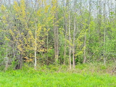 0 Klocks Corners Rd, Scriba, NY 13126 - photo 7